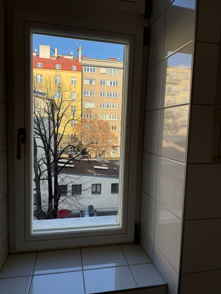 1 bedroom with open-plan kitchen flat to rent, 52 m², 28. pluku, Prague, Prague 1 bedroom with open-plan kitchen flat to rent, 52 m², 28. pluku, Prague, Prague