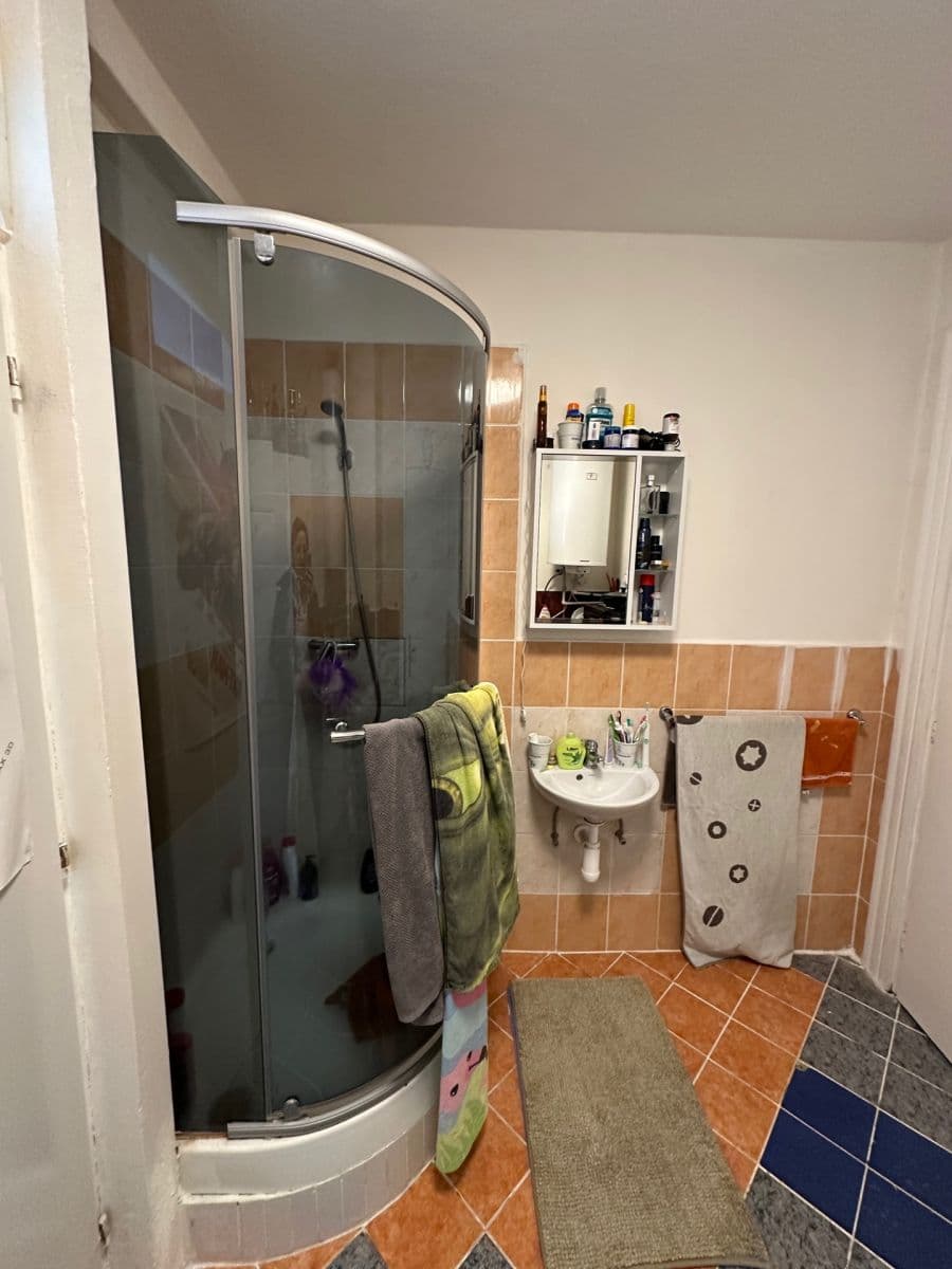 1 bedroom with open-plan kitchen flat for sale, 52 m², Krále Jiřího, Karlovy Vary, Karlovarský Region 1 bedroom with open-plan kitchen flat for sale, 52 m², Krále Jiřího, Karlovy Vary, Karlovarský Region