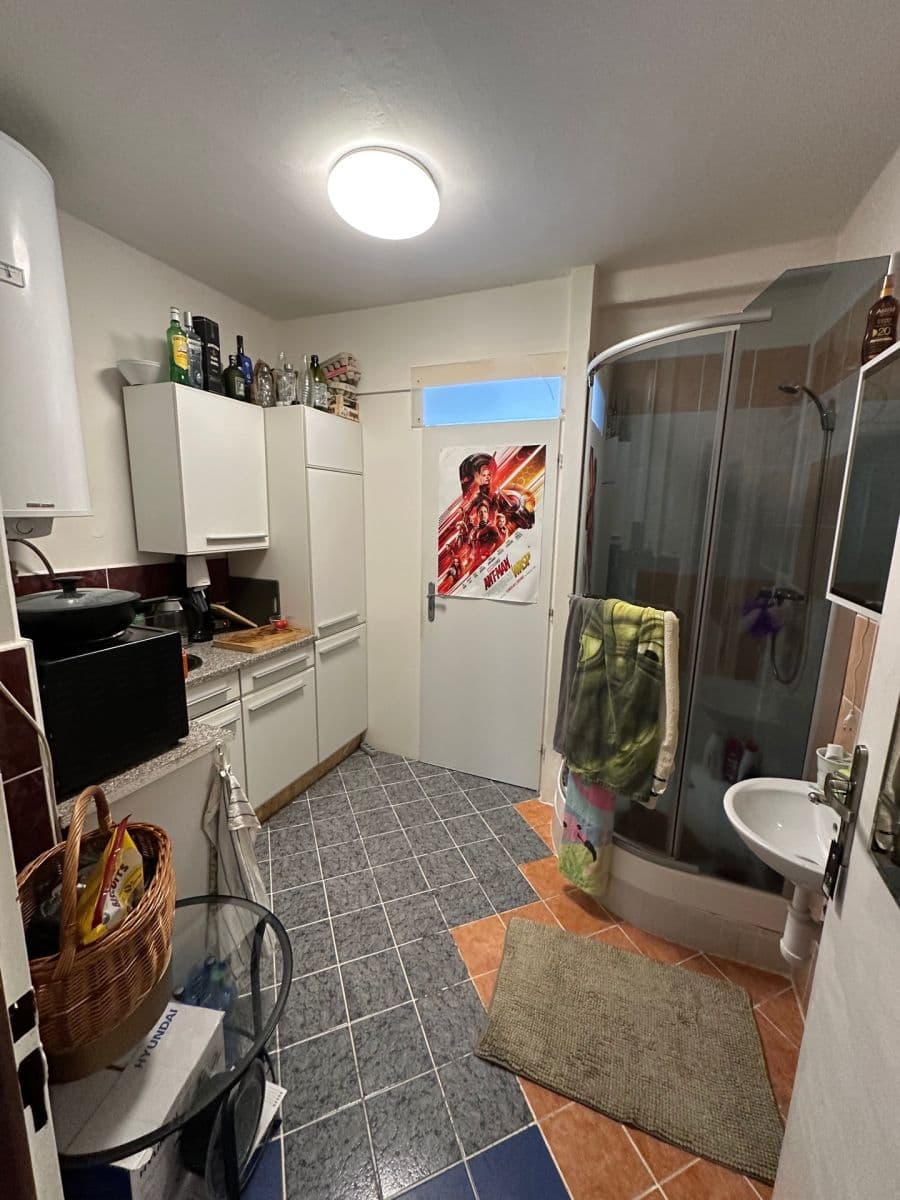 1 bedroom with open-plan kitchen flat for sale, 52 m², Krále Jiřího, Karlovy Vary, Karlovarský Region 1 bedroom with open-plan kitchen flat for sale, 52 m², Krále Jiřího, Karlovy Vary, Karlovarský Region