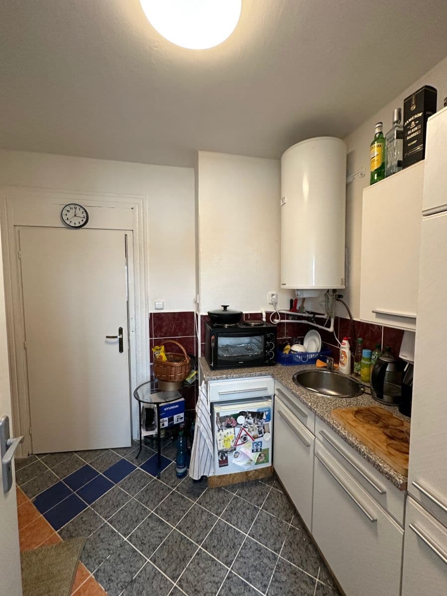 1 bedroom with open-plan kitchen flat for sale, 52 m², Krále Jiřího, Karlovy Vary, Karlovarský Region 1 bedroom with open-plan kitchen flat for sale, 52 m², Krále Jiřího, Karlovy Vary, Karlovarský Region