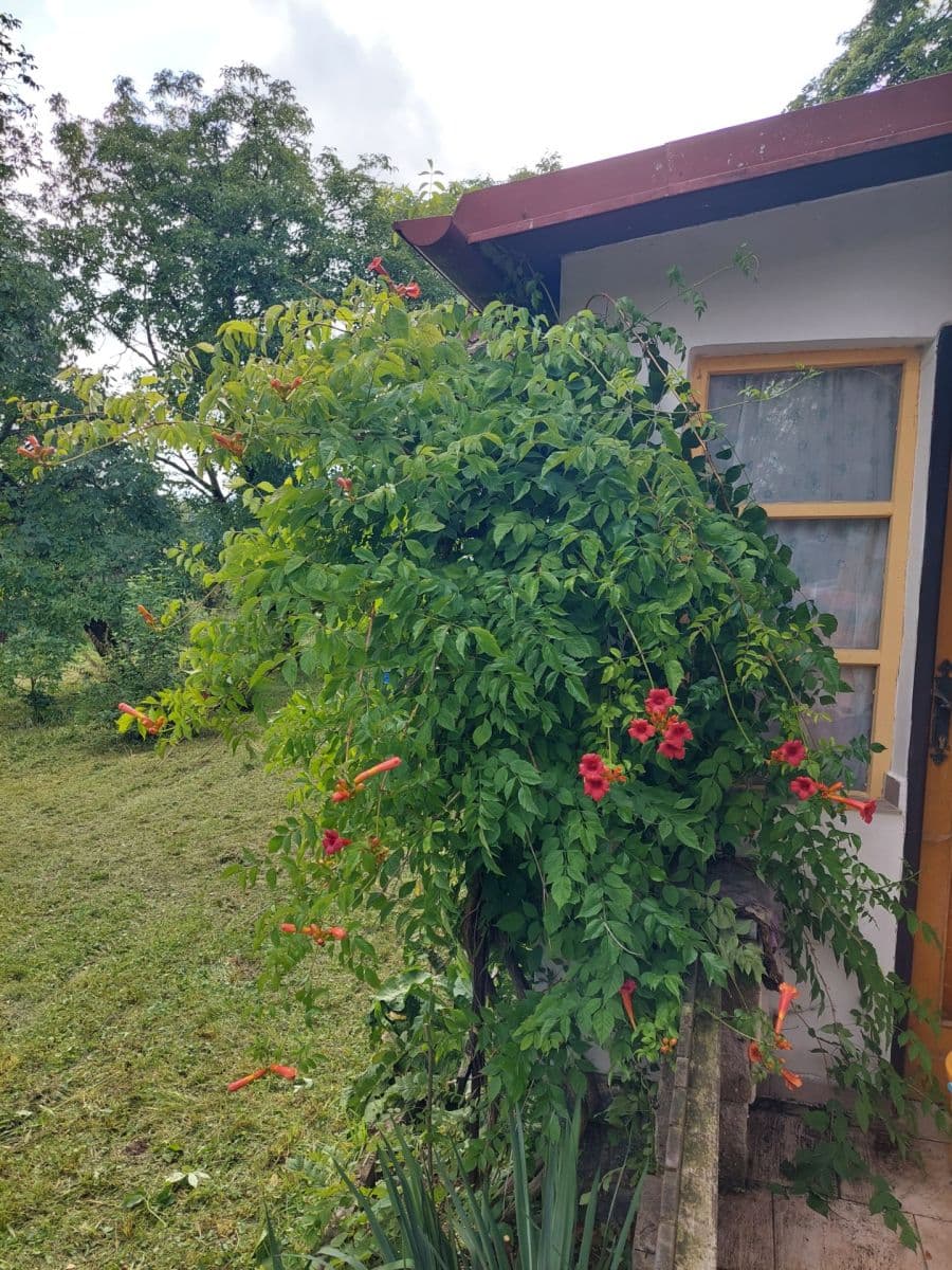 recreational property for sale, 987 m², Bystřice, Středočeský Region recreational property for sale, 987 m², Bystřice, Středočeský Region