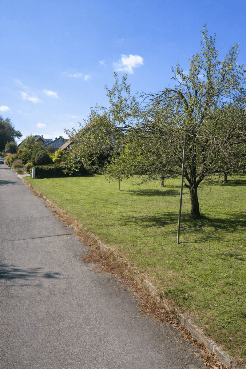 plot for sale, 976 m², Ústí, Olomoucký Region plot for sale, 976 m², Ústí, Olomoucký Region