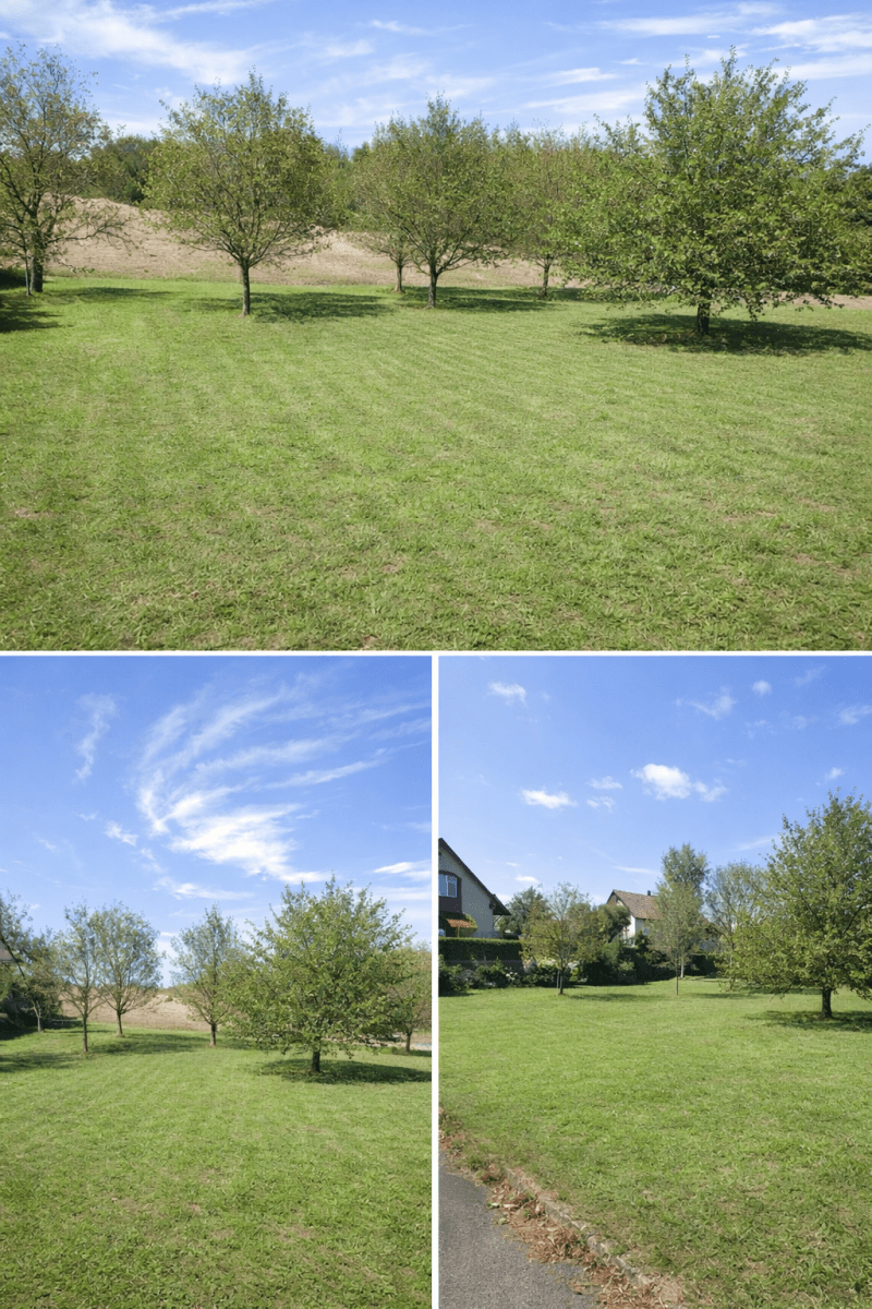 plot for sale, 976 m², Ústí, Olomoucký Region plot for sale, 976 m², Ústí, Olomoucký Region