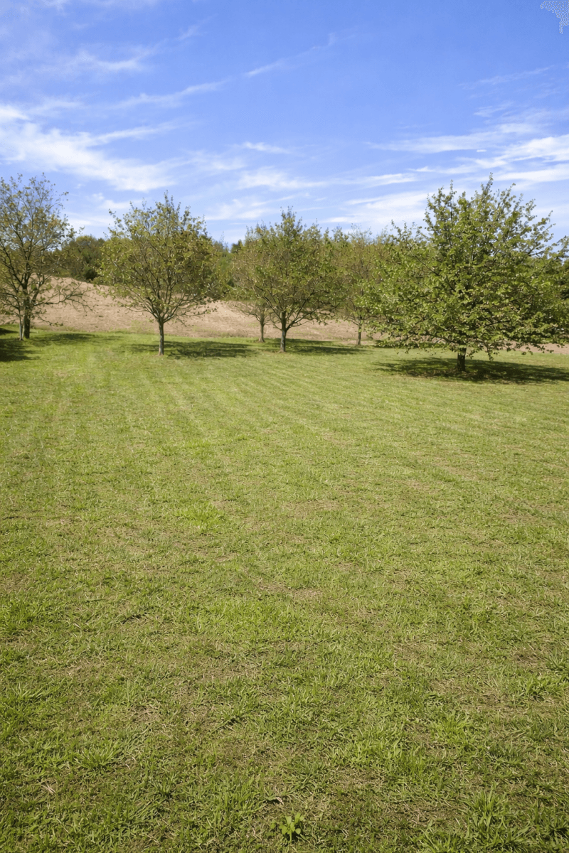 plot for sale, 976 m², Ústí, Olomoucký Region plot for sale, 976 m², Ústí, Olomoucký Region