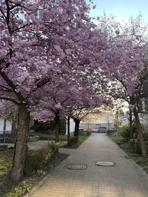 1 bedroom flat to rent, 42 m², Leipzig, Saxony 1 bedroom flat to rent, 42 m², Leipzig, Saxony