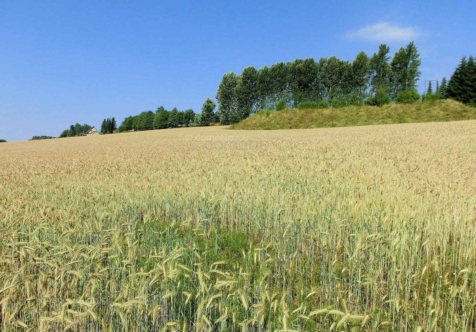 2 bedroom flat to rent, 51 m², Neubau 12, Elterlein, Saxony 2 bedroom flat to rent, 51 m², Neubau 12, Elterlein, Saxony