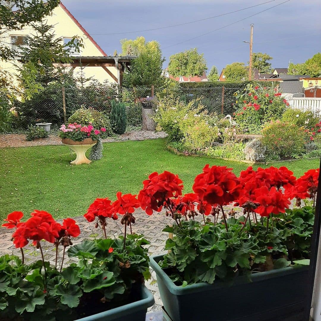 house for sale, 100 m², Luckenwalde, Brandenburg house for sale, 100 m², Luckenwalde, Brandenburg