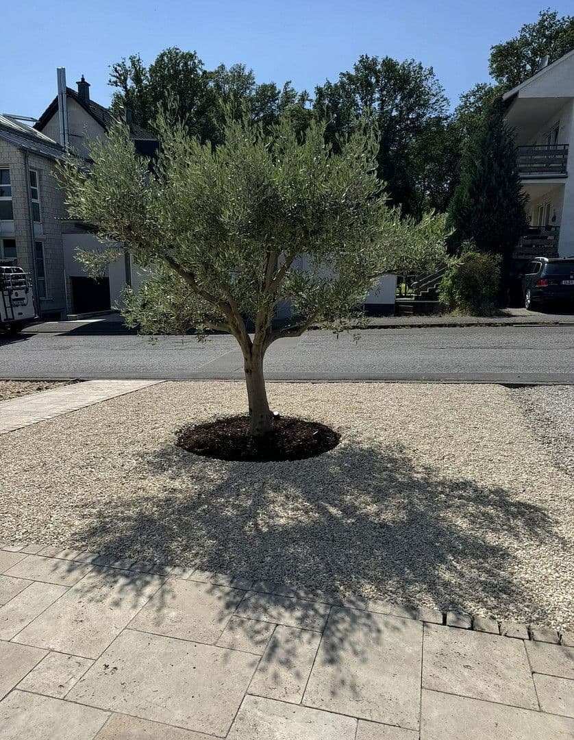 house for sale, 240 m², Rösrath, North Rhine-Westphalia house for sale, 240 m², Rösrath, North Rhine-Westphalia