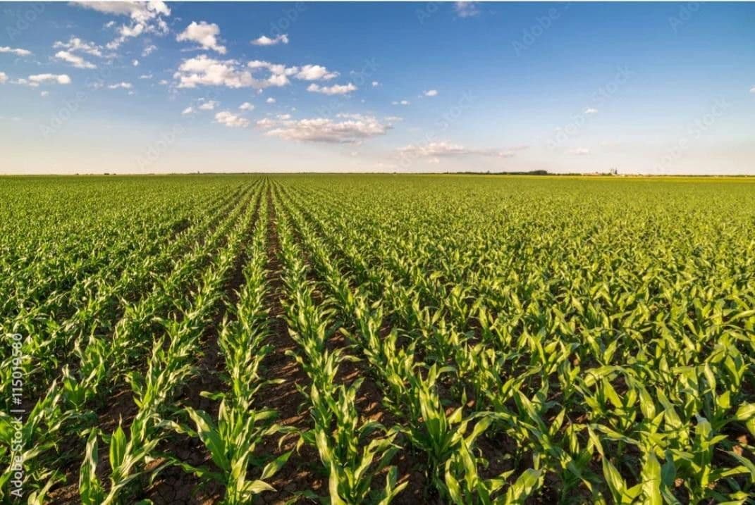 plot for sale, 23,000,000 m², Waidhaus, Bavaria plot for sale, 23,000,000 m², Waidhaus, Bavaria