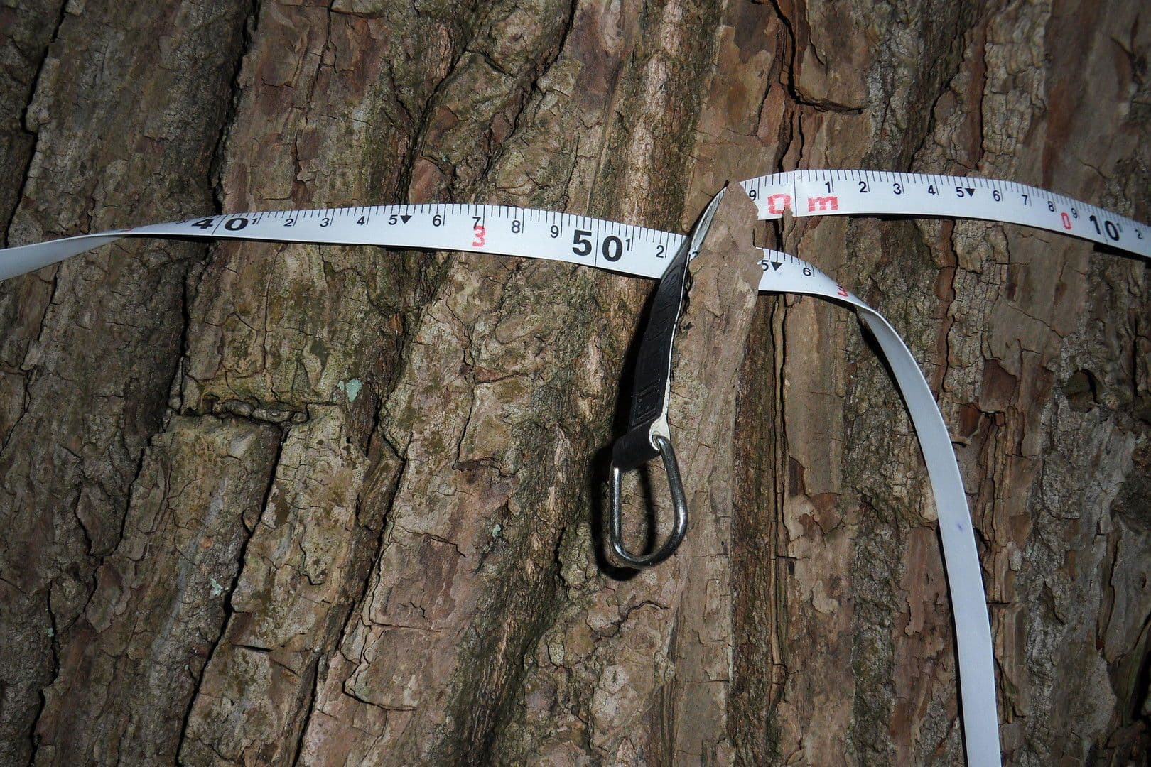 house for sale, 120 m², Tangstedt, Schleswig-Holstein house for sale, 120 m², Tangstedt, Schleswig-Holstein