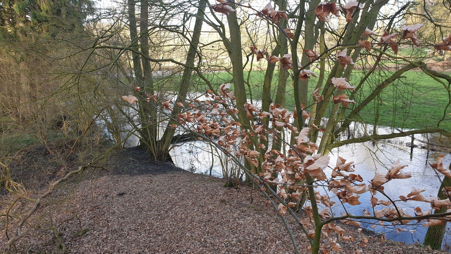 house for sale, 120 m², Tangstedt, Schleswig-Holstein house for sale, 120 m², Tangstedt, Schleswig-Holstein