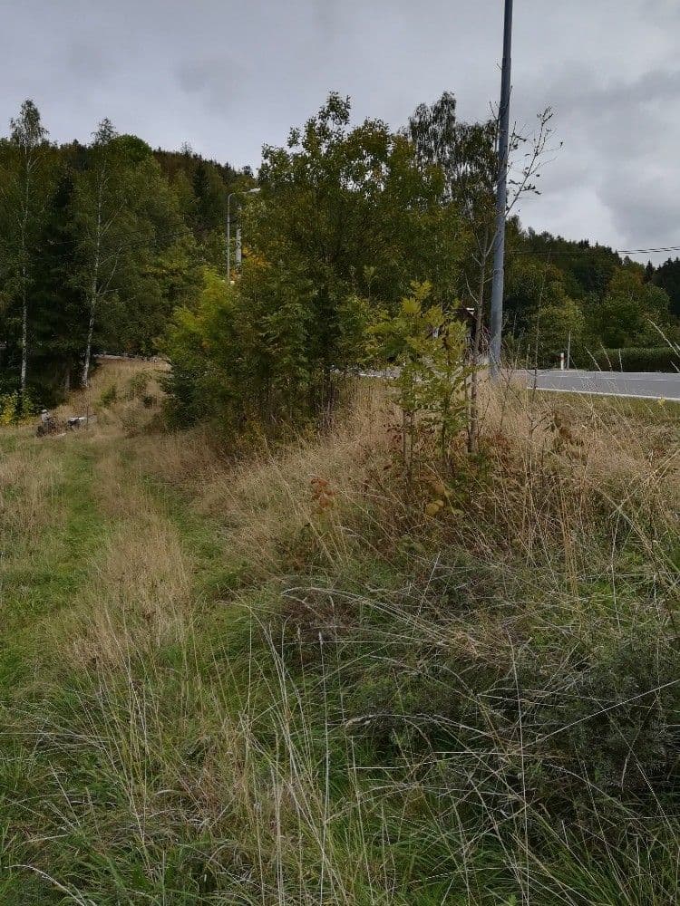 plot for sale, 1,034 m², Krkonošská, Desná, Liberecký Region plot for sale, 1,034 m², Krkonošská, Desná, Liberecký Region