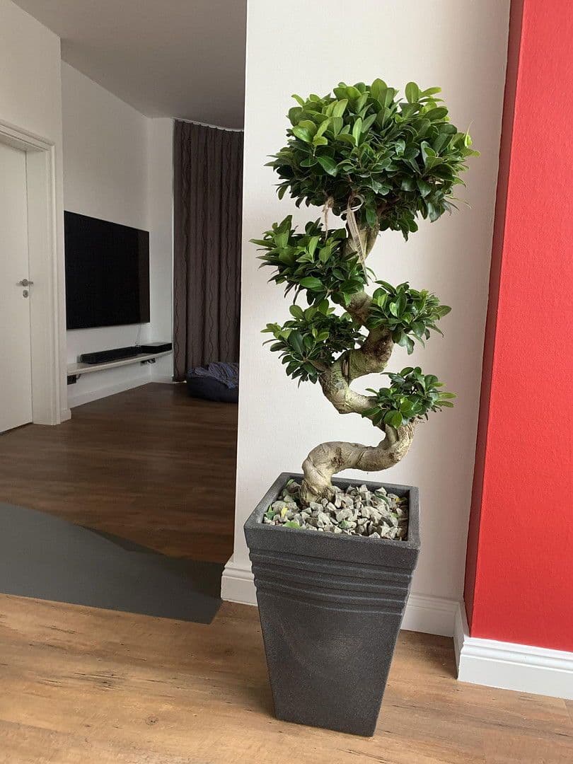 house for sale, 174 m², Lüninghauser Str. 111, Lilienthal, Lower Saxony house for sale, 174 m², Lüninghauser Str. 111, Lilienthal, Lower Saxony