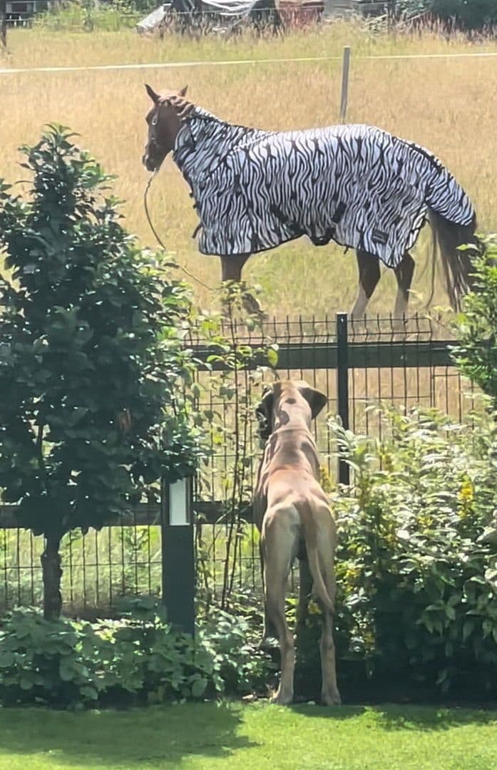 house for sale, 174 m², Lüninghauser Str. 111, Lilienthal, Lower Saxony house for sale, 174 m², Lüninghauser Str. 111, Lilienthal, Lower Saxony