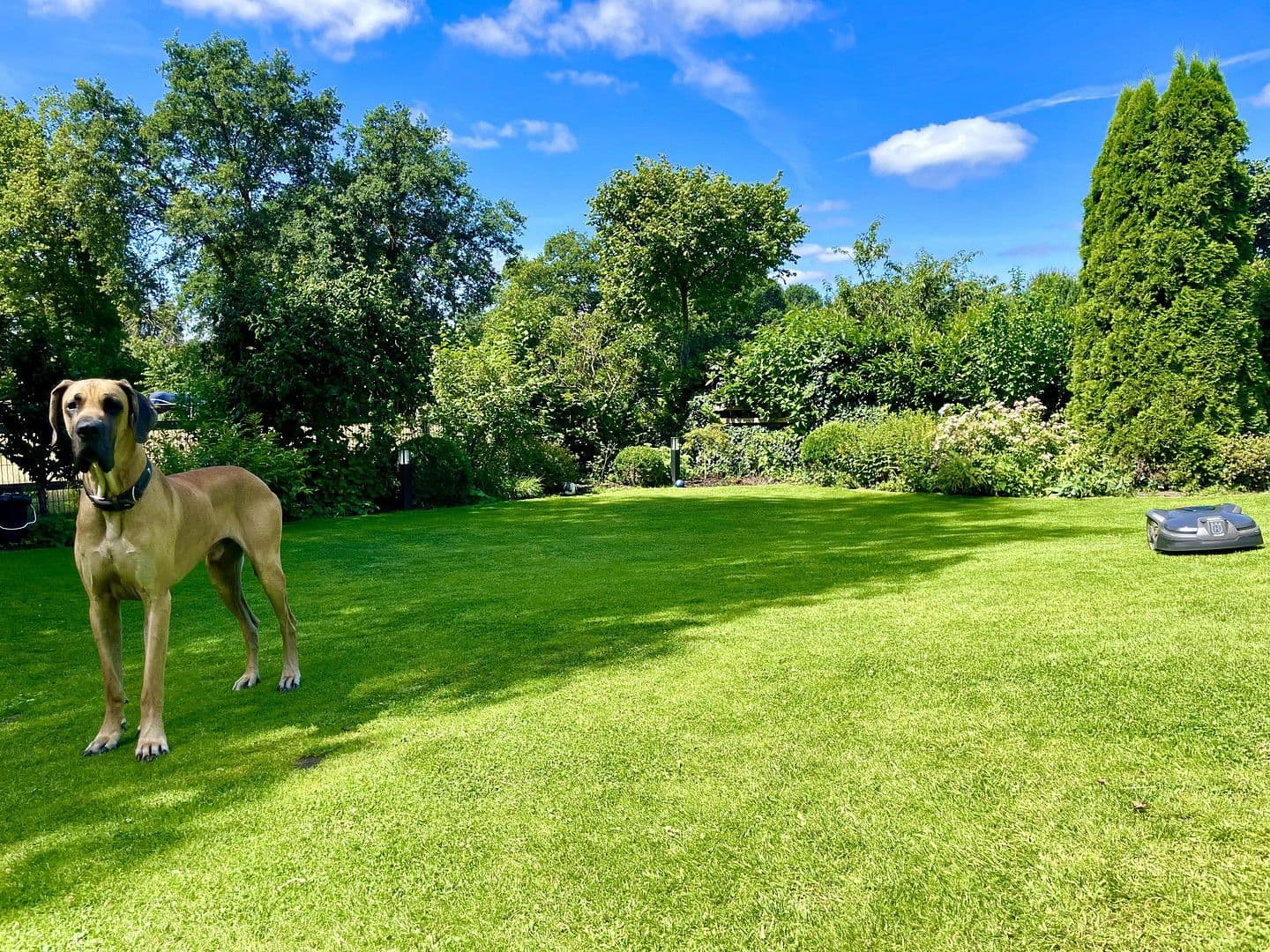 house for sale, 174 m², Lüninghauser Str. 111, Lilienthal, Lower Saxony house for sale, 174 m², Lüninghauser Str. 111, Lilienthal, Lower Saxony