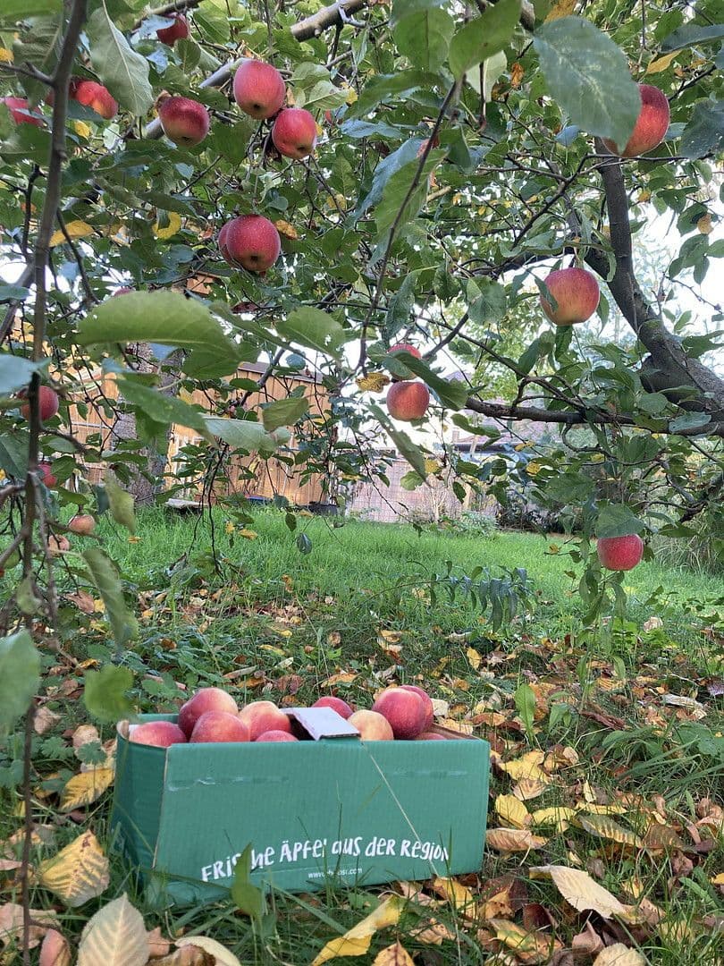 house for sale, 136 m², Nauen, Brandenburg house for sale, 136 m², Nauen, Brandenburg