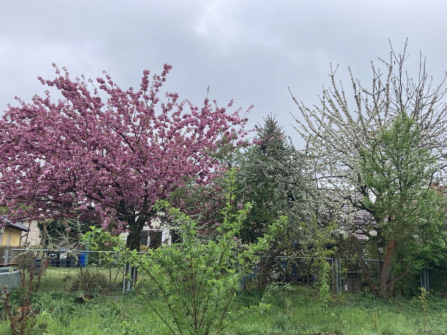 house for sale, 136 m², Nauen, Brandenburg house for sale, 136 m², Nauen, Brandenburg