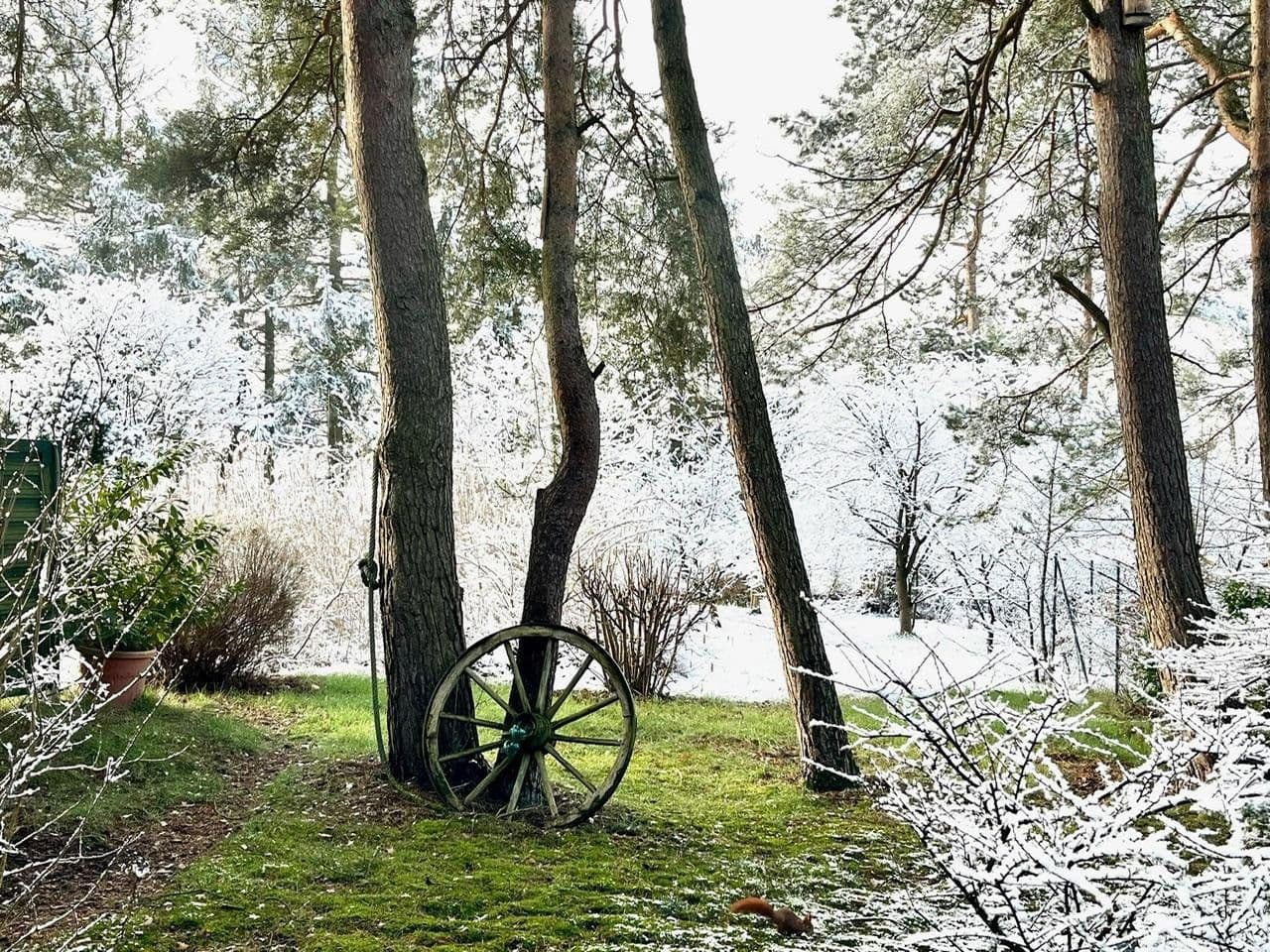 house for sale, 115 m², Meisenweg 16, Kirchseelte, Lower Saxony house for sale, 115 m², Meisenweg 16, Kirchseelte, Lower Saxony