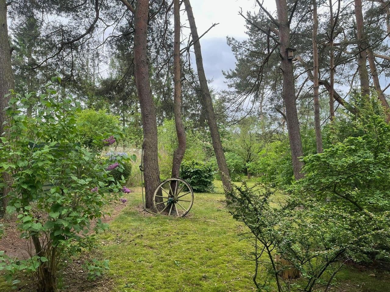 house for sale, 115 m², Meisenweg 16, Kirchseelte, Lower Saxony house for sale, 115 m², Meisenweg 16, Kirchseelte, Lower Saxony