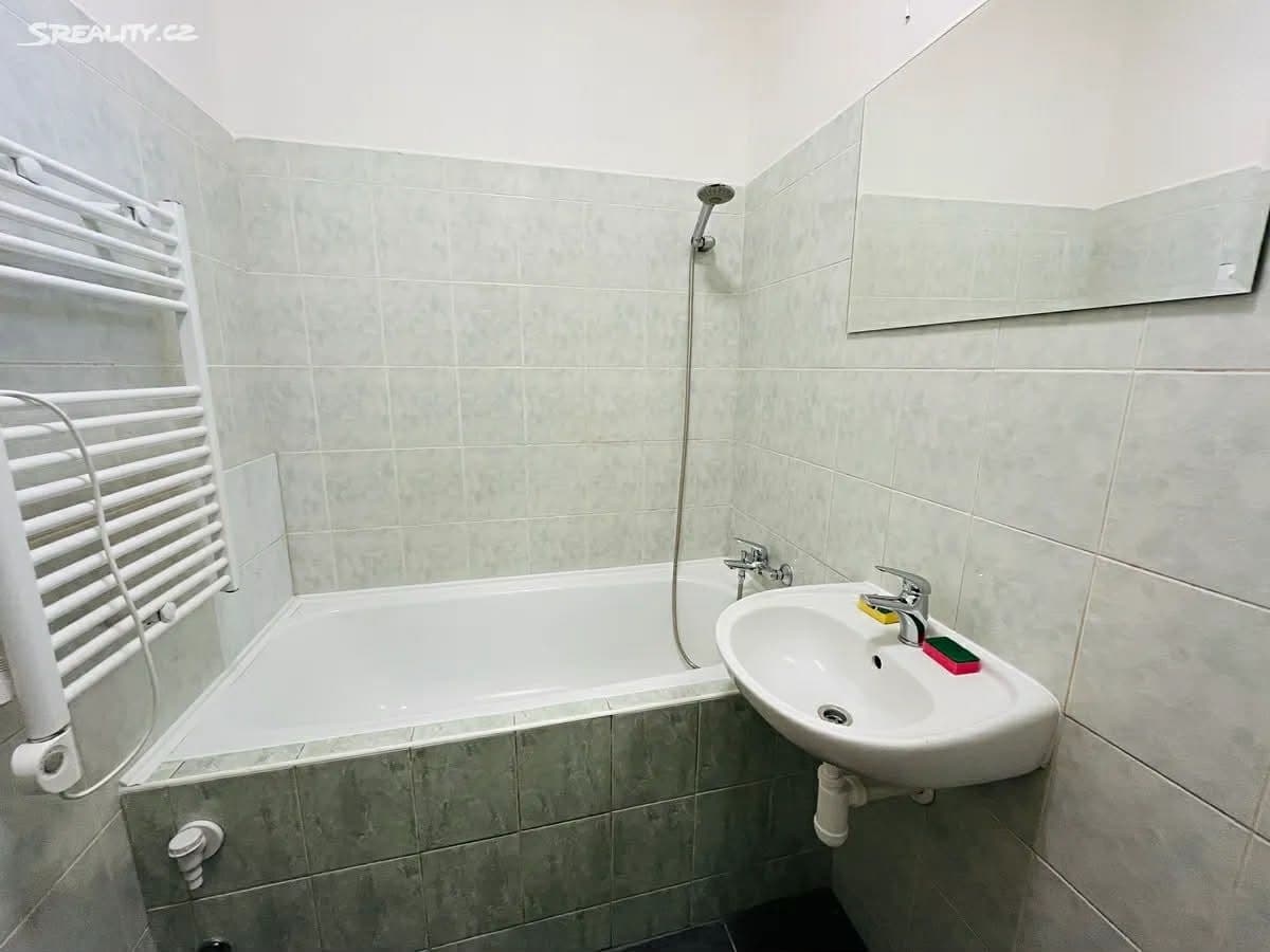 1 bedroom with open-plan kitchen flat to rent, 50 m², Pod Pekárnami, Prague, Prague 1 bedroom with open-plan kitchen flat to rent, 50 m², Pod Pekárnami, Prague, Prague