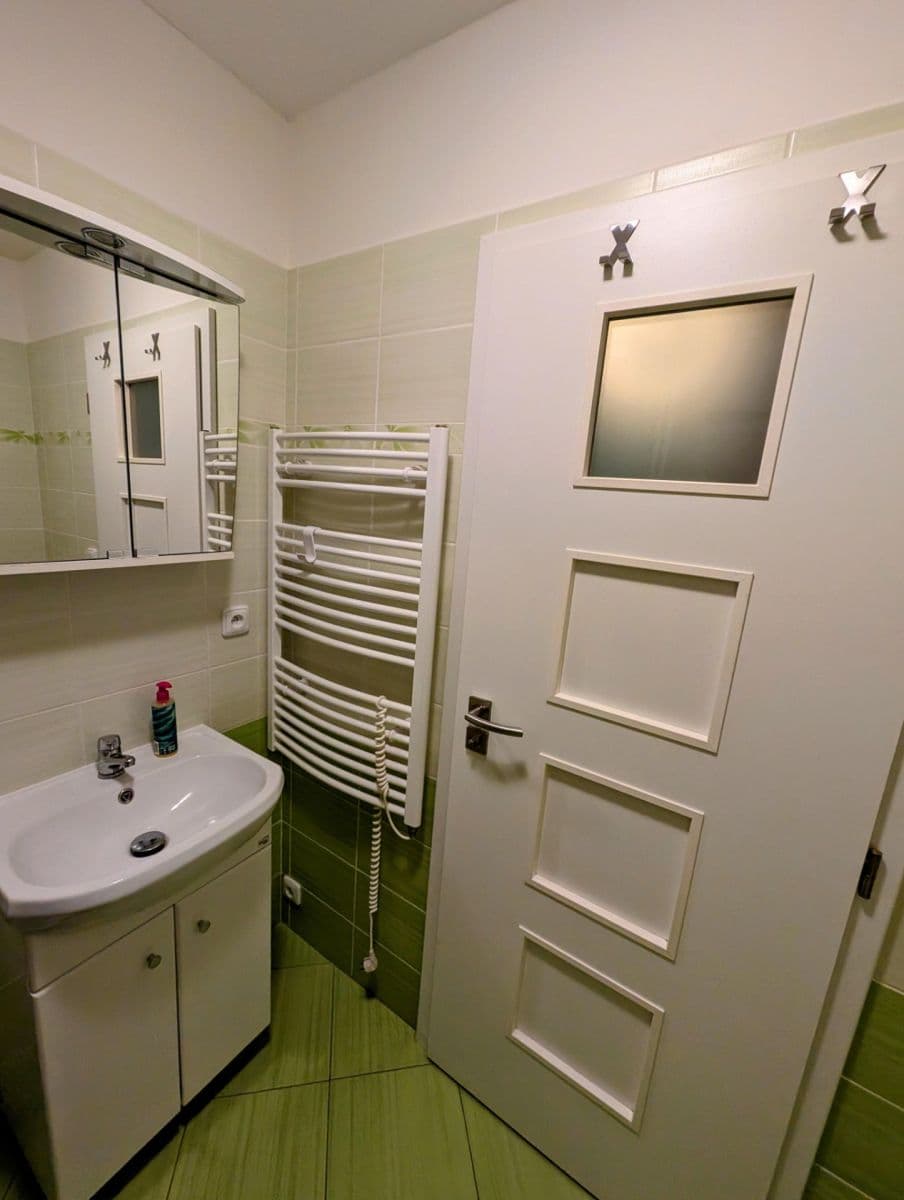 1 bedroom with open-plan kitchen flat to rent, 43 m², Sezemínská, Prague, Prague 1 bedroom with open-plan kitchen flat to rent, 43 m², Sezemínská, Prague, Prague