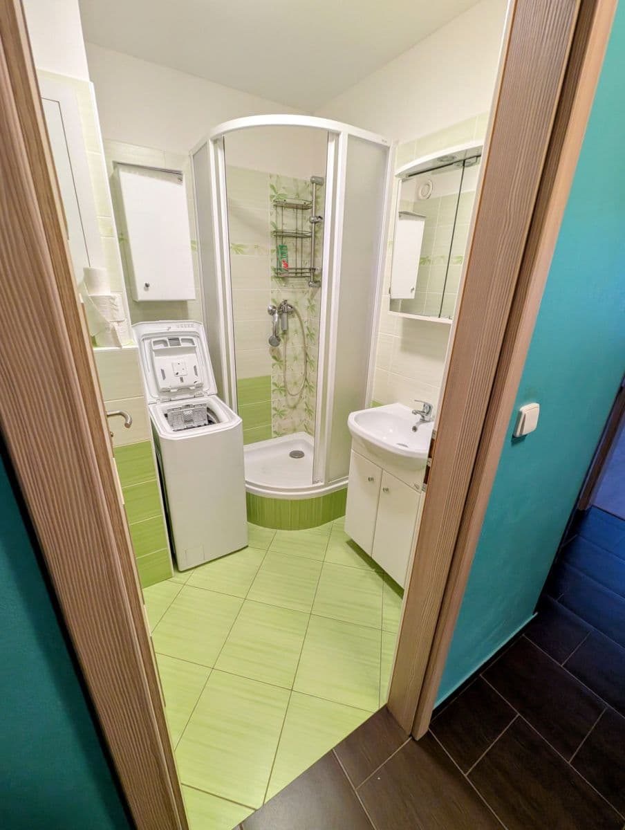 1 bedroom with open-plan kitchen flat to rent, 43 m², Sezemínská, Prague, Prague 1 bedroom with open-plan kitchen flat to rent, 43 m², Sezemínská, Prague, Prague