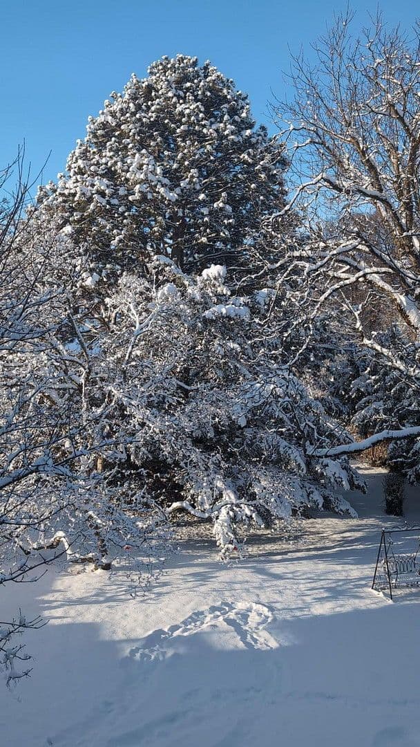 3 bedroom flat to rent, 97 m², Bad Reichenhall, Bavaria 3 bedroom flat to rent, 97 m², Bad Reichenhall, Bavaria