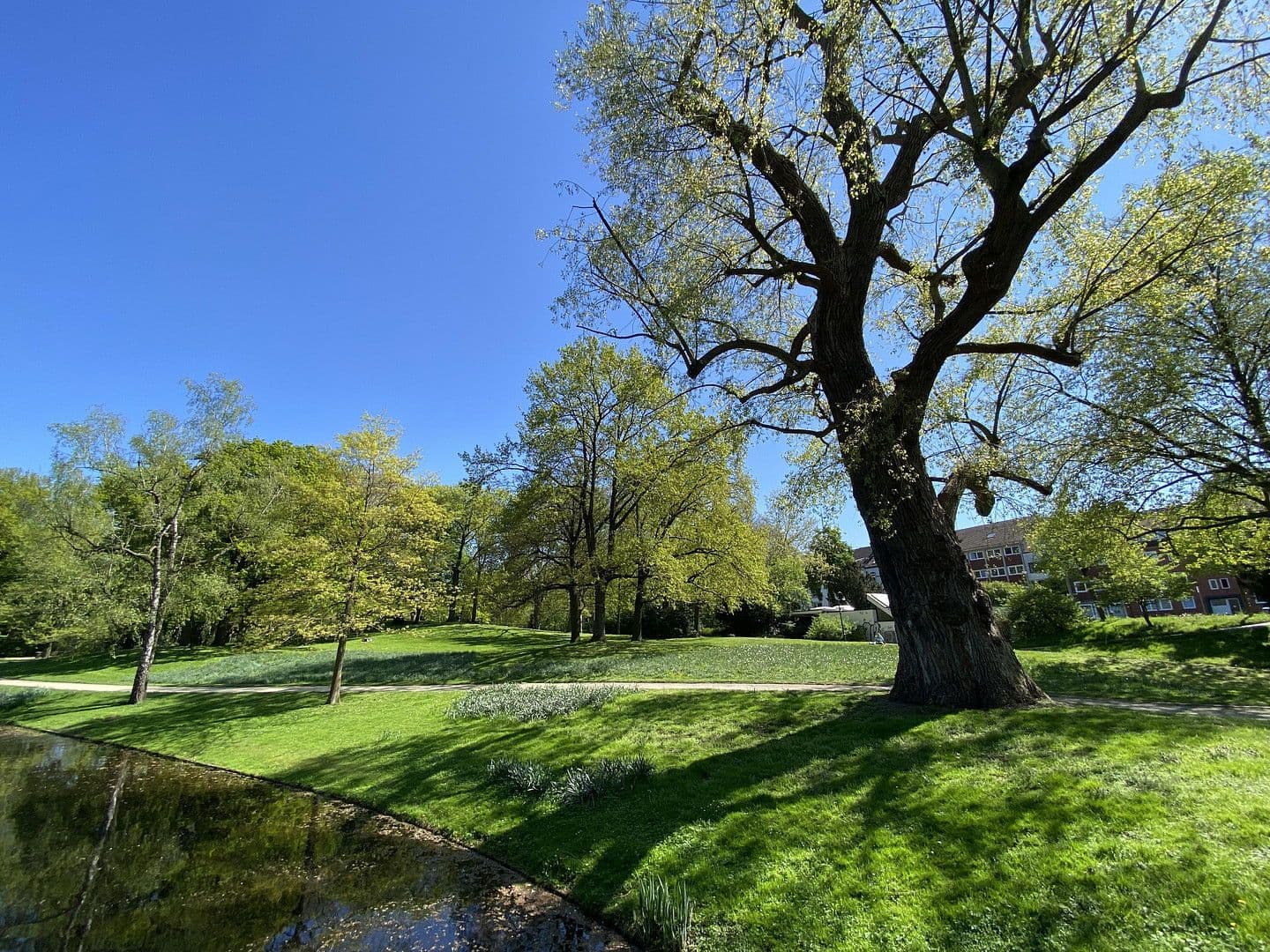 1 bedroom flat to rent, 34 m², Bremen, Bremen 1 bedroom flat to rent, 34 m², Bremen, Bremen