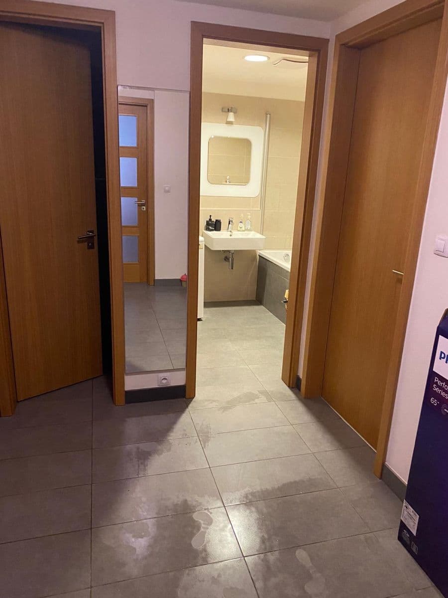 1 bedroom with open-plan kitchen flat to rent, 57 m², Komunardů, Prague, Prague 1 bedroom with open-plan kitchen flat to rent, 57 m², Komunardů, Prague, Prague