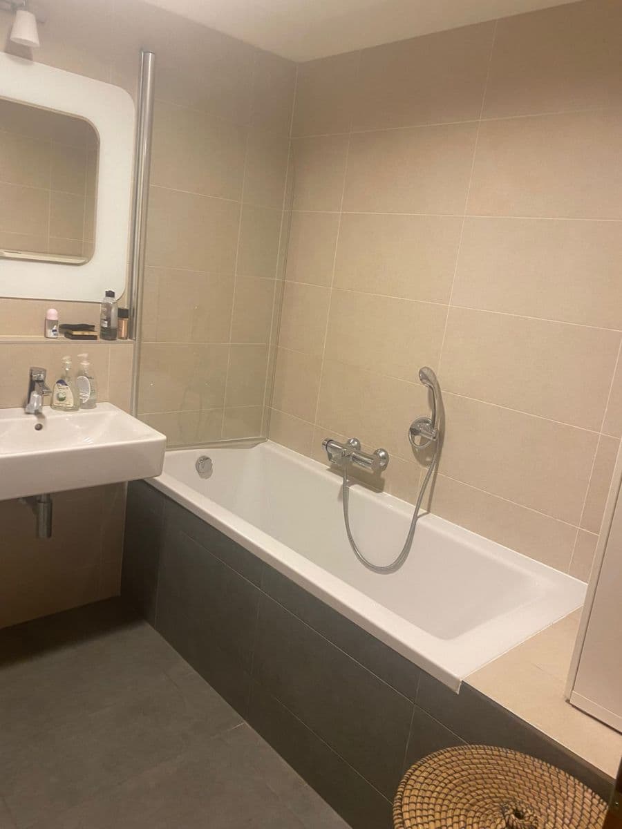 1 bedroom with open-plan kitchen flat to rent, 57 m², Komunardů, Prague, Prague 1 bedroom with open-plan kitchen flat to rent, 57 m², Komunardů, Prague, Prague