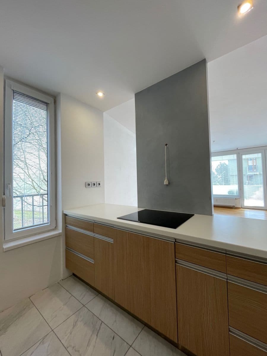 2 bedroom with open-plan kitchen flat for sale, 108 m², K Haltýři, Prague, Prague 2 bedroom with open-plan kitchen flat for sale, 108 m², K Haltýři, Prague, Prague