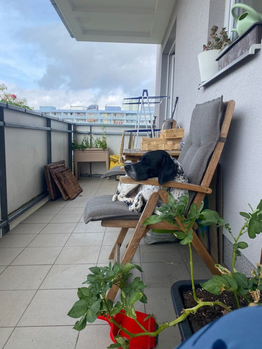 2 bedroom with open-plan kitchen flat to rent, 67 m², Jurkovičova, Prague, Prague 2 bedroom with open-plan kitchen flat to rent, 67 m², Jurkovičova, Prague, Prague