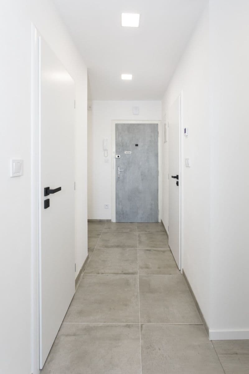 1 bedroom with open-plan kitchen flat to rent, 46 m², Markušova, Prague, Prague 1 bedroom with open-plan kitchen flat to rent, 46 m², Markušova, Prague, Prague