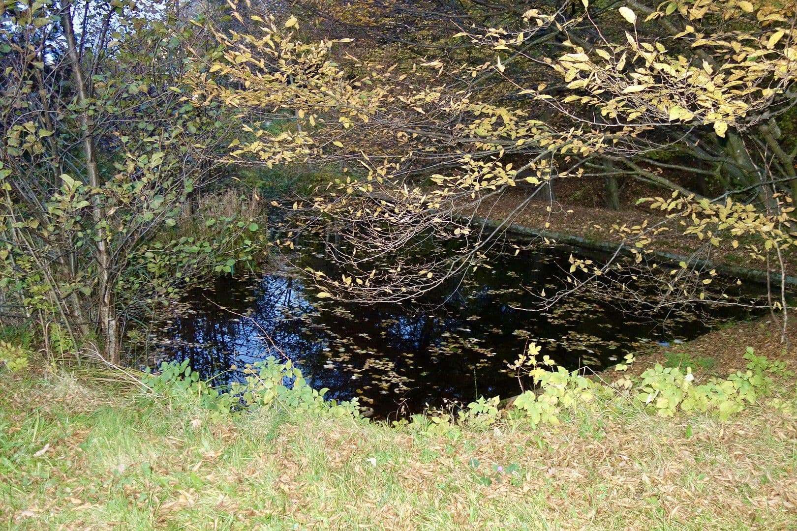 plot for sale, 2,592 m², St. Andrä, Carinthia plot for sale, 2,592 m², St. Andrä, Carinthia