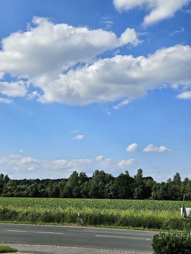 3 bedroom flat to rent, 58 m², Babenhauser Str. 43, Bielefeld, North Rhine-Westphalia 3 bedroom flat to rent, 58 m², Babenhauser Str. 43, Bielefeld, North Rhine-Westphalia