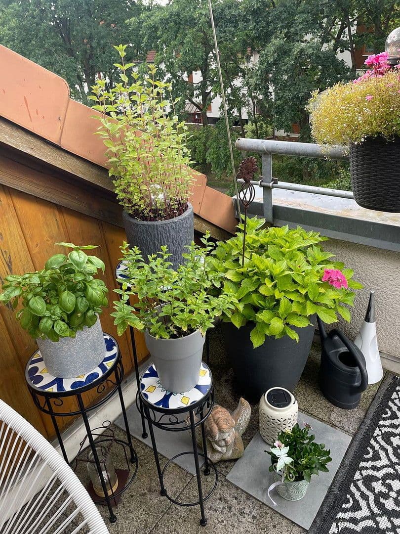 2 bedroom flat to rent, 90 m², Walter-Hallstein-Straße 14, Gifhorn, Lower Saxony 2 bedroom flat to rent, 90 m², Walter-Hallstein-Straße 14, Gifhorn, Lower Saxony