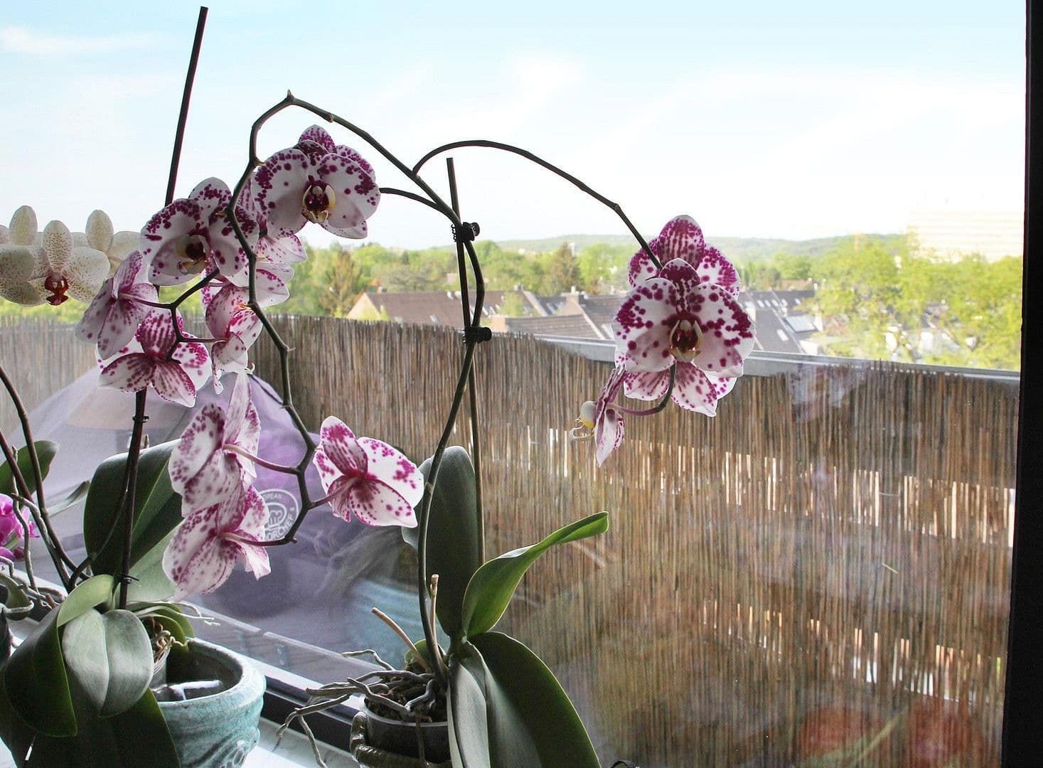 4 bedroom flat for sale, 115 m², Goethestr. 56, Düsseldorf, North Rhine-Westphalia 4 bedroom flat for sale, 115 m², Goethestr. 56, Düsseldorf, North Rhine-Westphalia