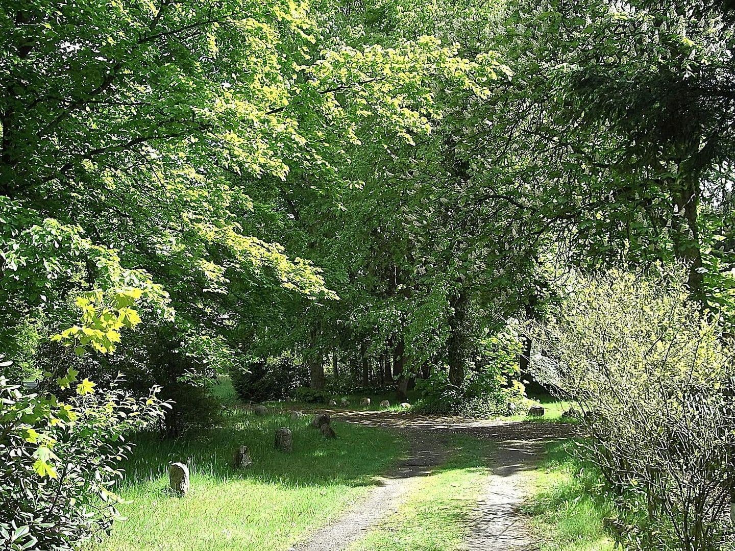 1 bedroom with open-plan kitchen flat to rent, 90 m², Schneverdingen, Lower Saxony 1 bedroom with open-plan kitchen flat to rent, 90 m², Schneverdingen, Lower Saxony