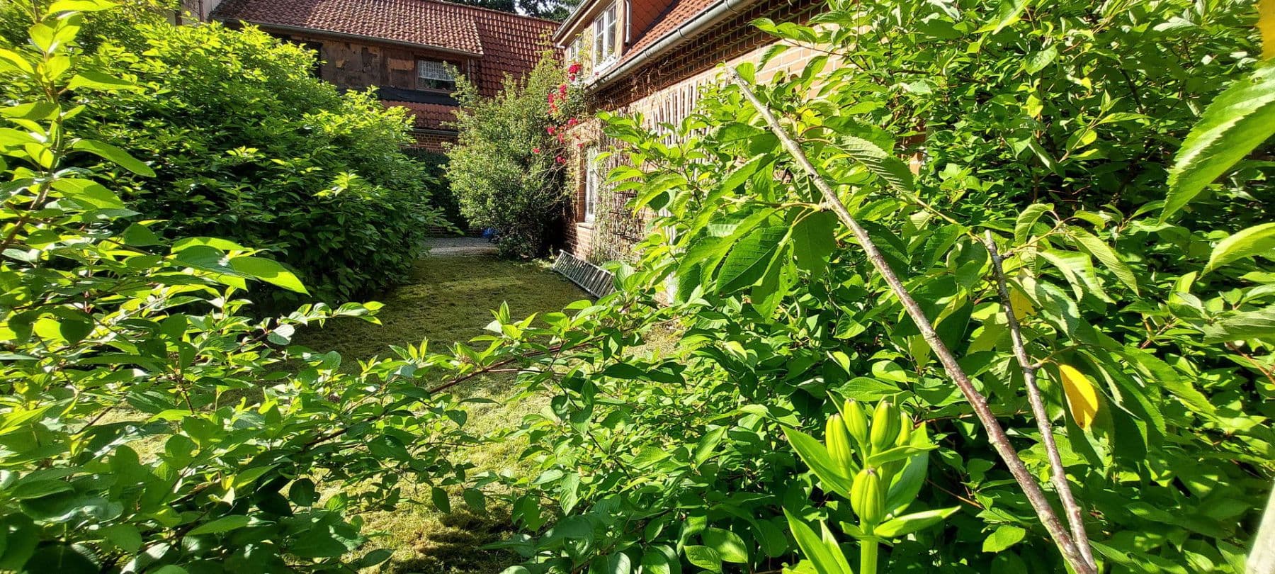 1 bedroom with open-plan kitchen flat to rent, 90 m², Schneverdingen, Lower Saxony 1 bedroom with open-plan kitchen flat to rent, 90 m², Schneverdingen, Lower Saxony