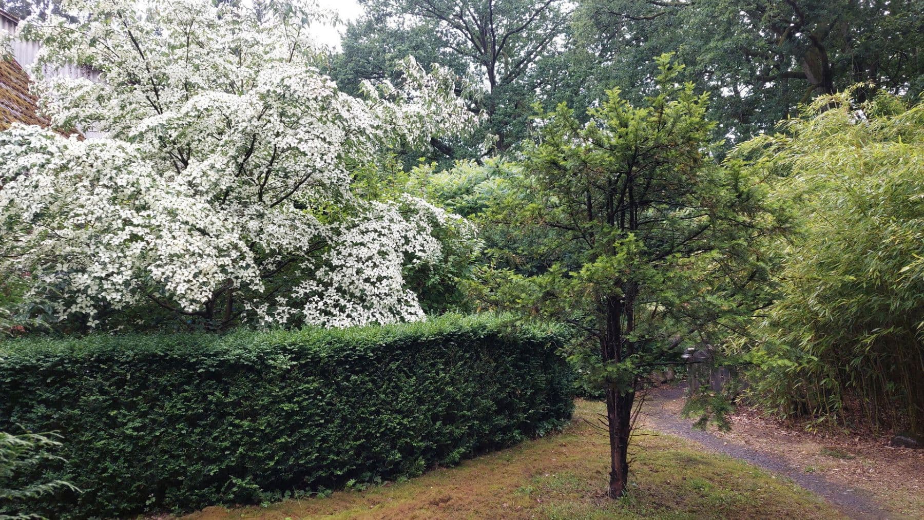 1 bedroom with open-plan kitchen flat to rent, 90 m², Schneverdingen, Lower Saxony 1 bedroom with open-plan kitchen flat to rent, 90 m², Schneverdingen, Lower Saxony