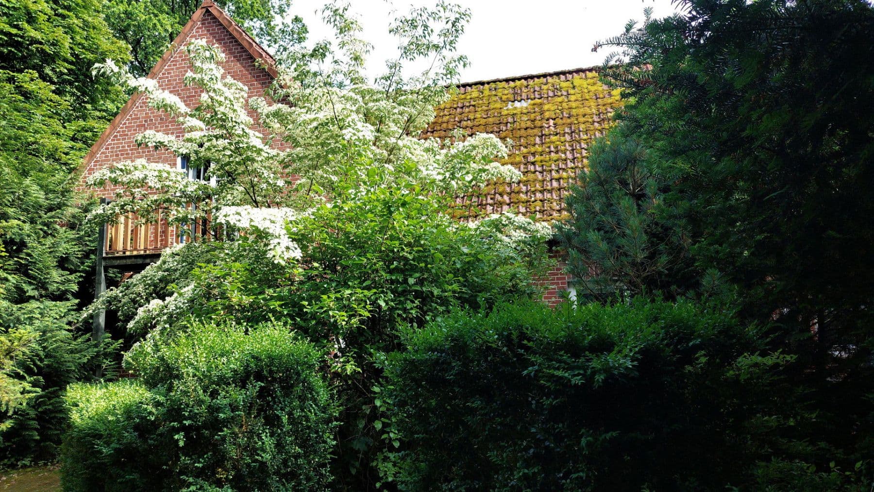 1 bedroom with open-plan kitchen flat to rent, 90 m², Schneverdingen, Lower Saxony 1 bedroom with open-plan kitchen flat to rent, 90 m², Schneverdingen, Lower Saxony