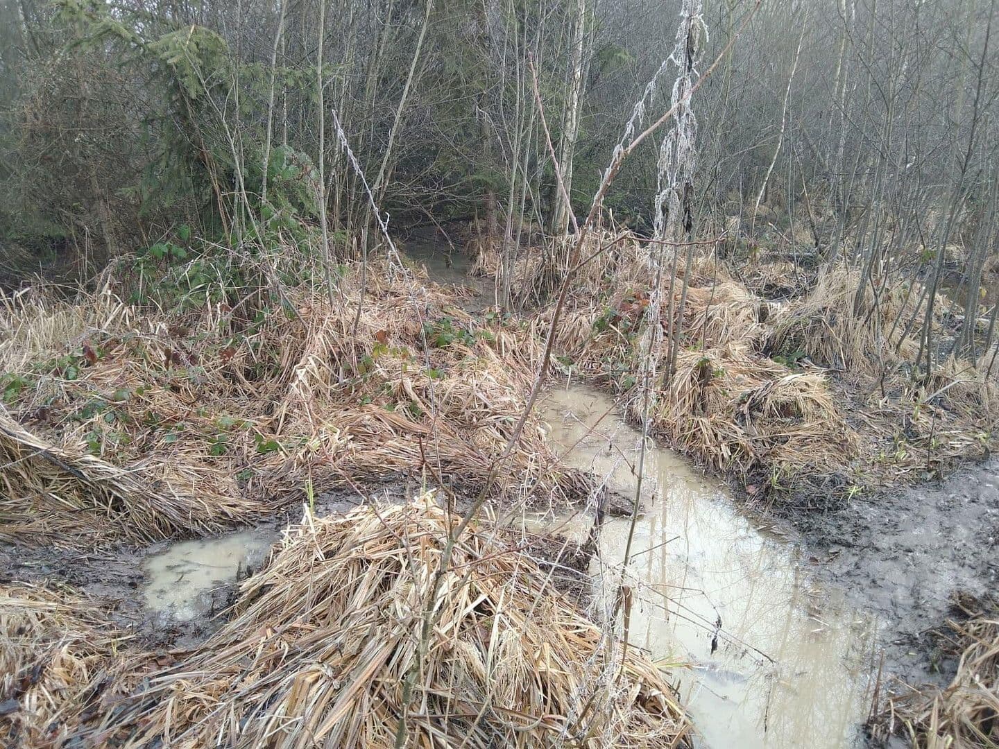 plot for sale, 21,462 m², Details bei Anfrage, Vitis, Lower Austria plot for sale, 21,462 m², Details bei Anfrage, Vitis, Lower Austria