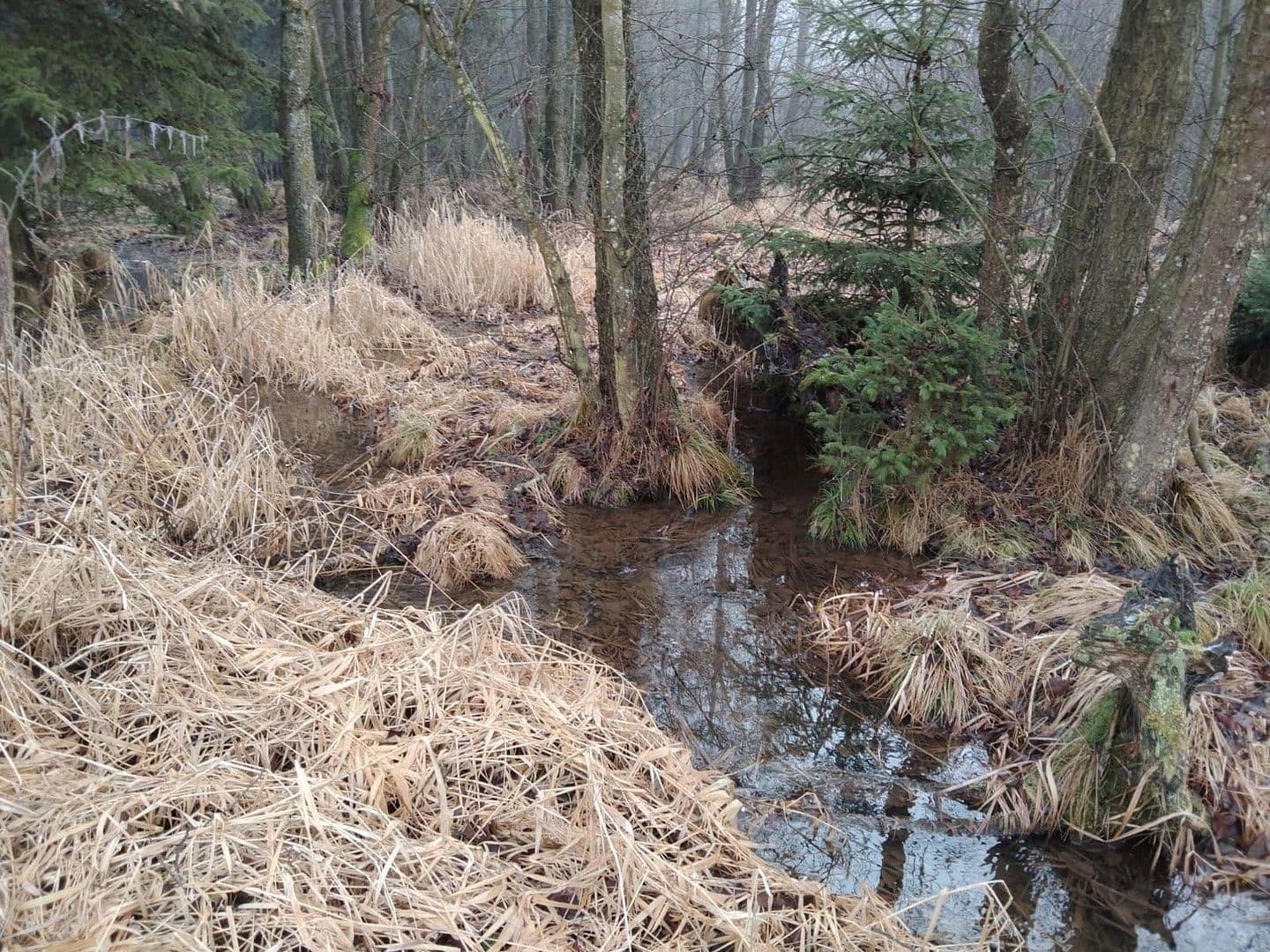 plot for sale, 21,462 m², Details bei Anfrage, Vitis, Lower Austria plot for sale, 21,462 m², Details bei Anfrage, Vitis, Lower Austria