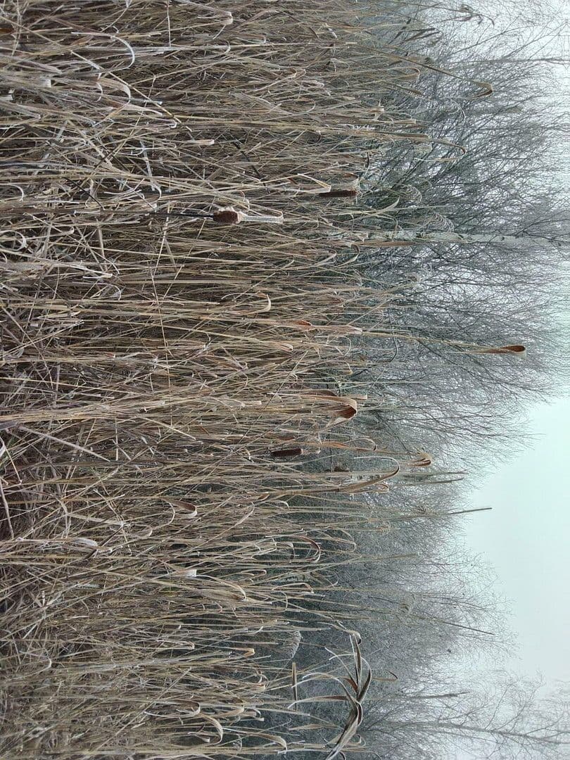 plot for sale, 21,462 m², Details bei Anfrage, Vitis, Lower Austria plot for sale, 21,462 m², Details bei Anfrage, Vitis, Lower Austria