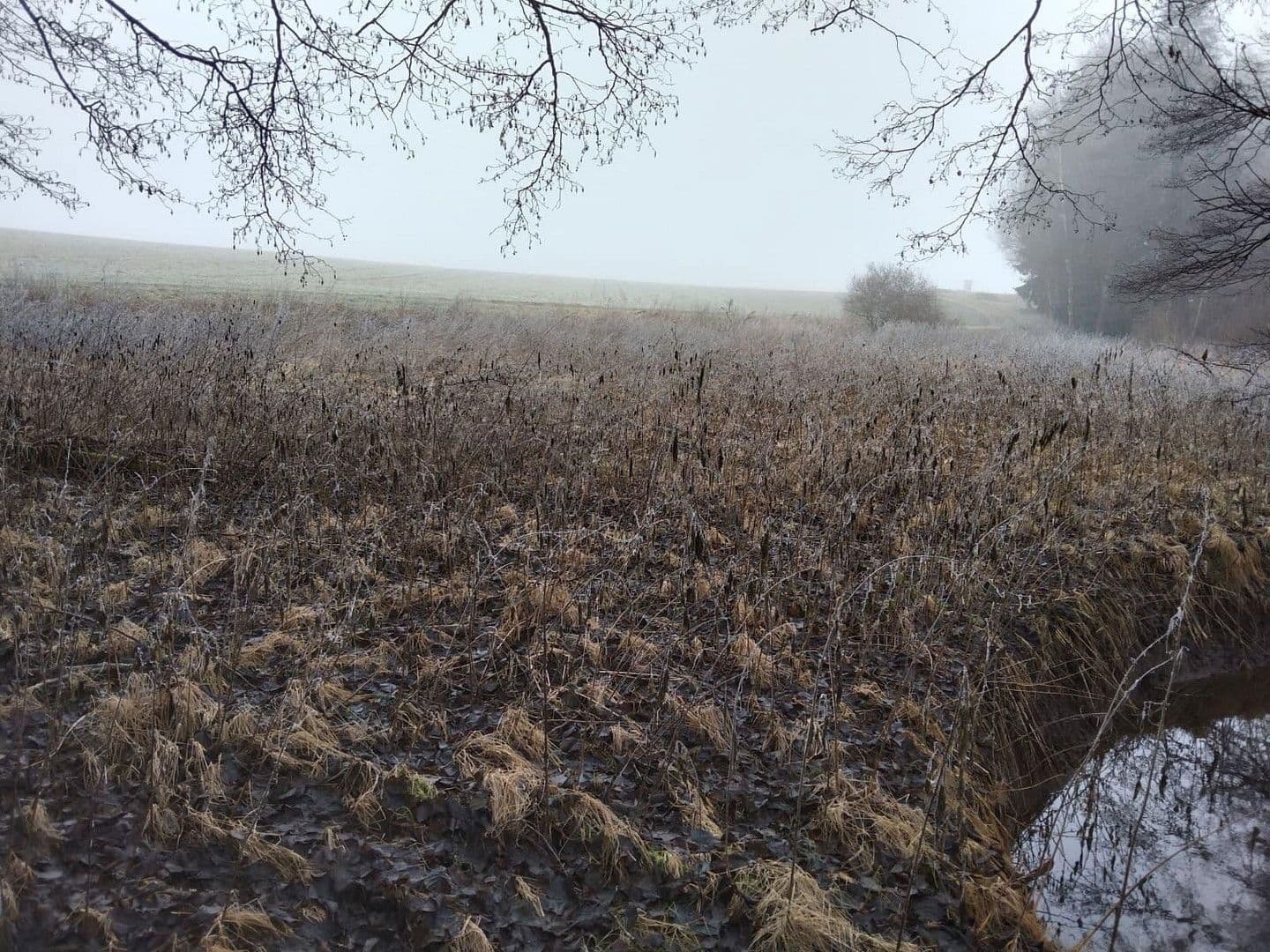 plot for sale, 21,462 m², Details bei Anfrage, Vitis, Lower Austria plot for sale, 21,462 m², Details bei Anfrage, Vitis, Lower Austria