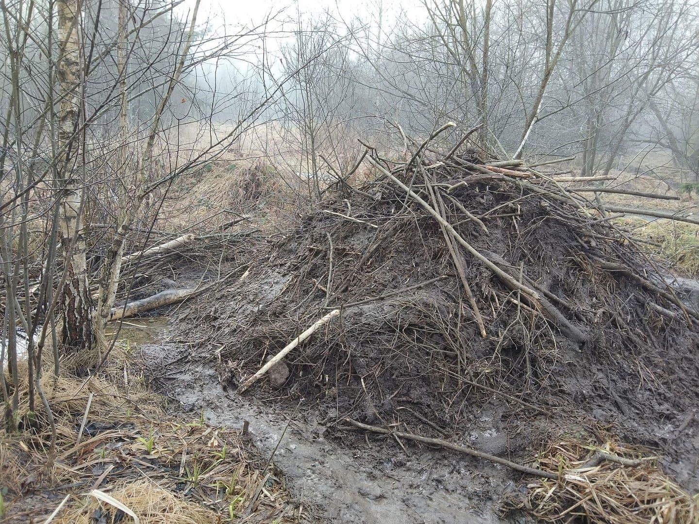 plot for sale, 21,462 m², Details bei Anfrage, Vitis, Lower Austria plot for sale, 21,462 m², Details bei Anfrage, Vitis, Lower Austria