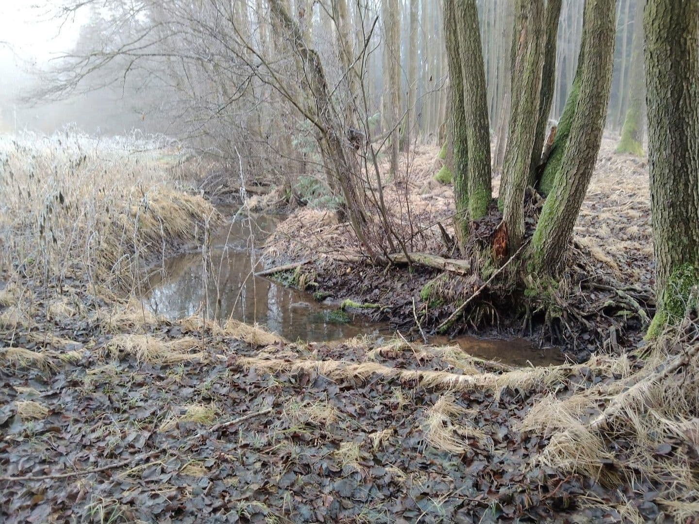 plot for sale, 21,462 m², Details bei Anfrage, Vitis, Lower Austria plot for sale, 21,462 m², Details bei Anfrage, Vitis, Lower Austria