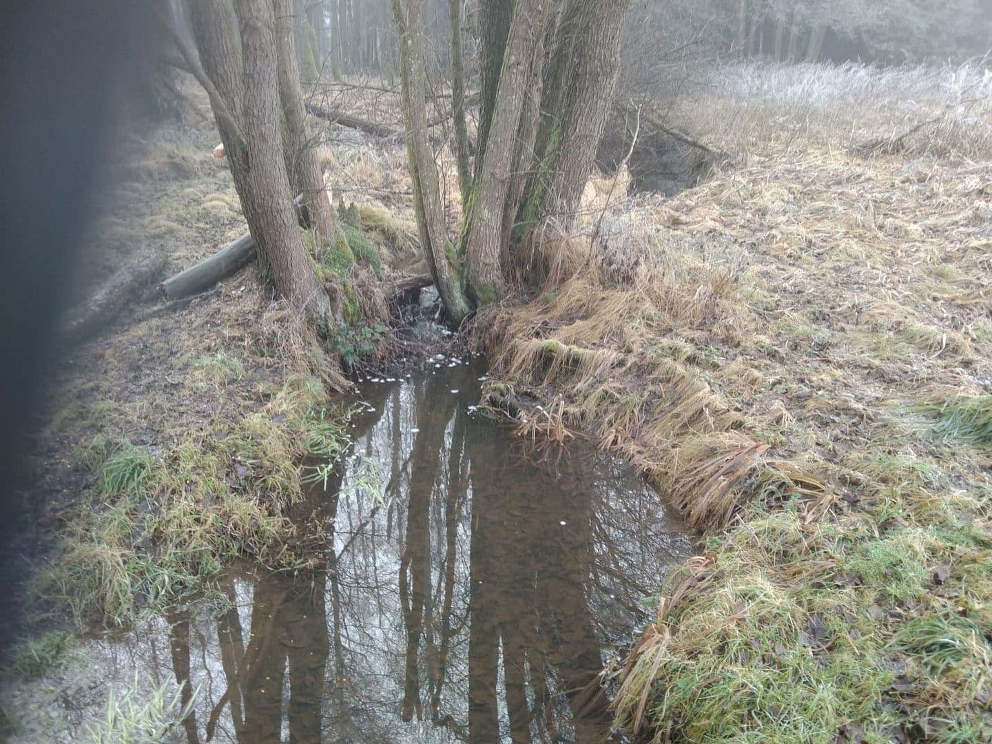 plot for sale, 21,462 m², Details bei Anfrage, Vitis, Lower Austria plot for sale, 21,462 m², Details bei Anfrage, Vitis, Lower Austria