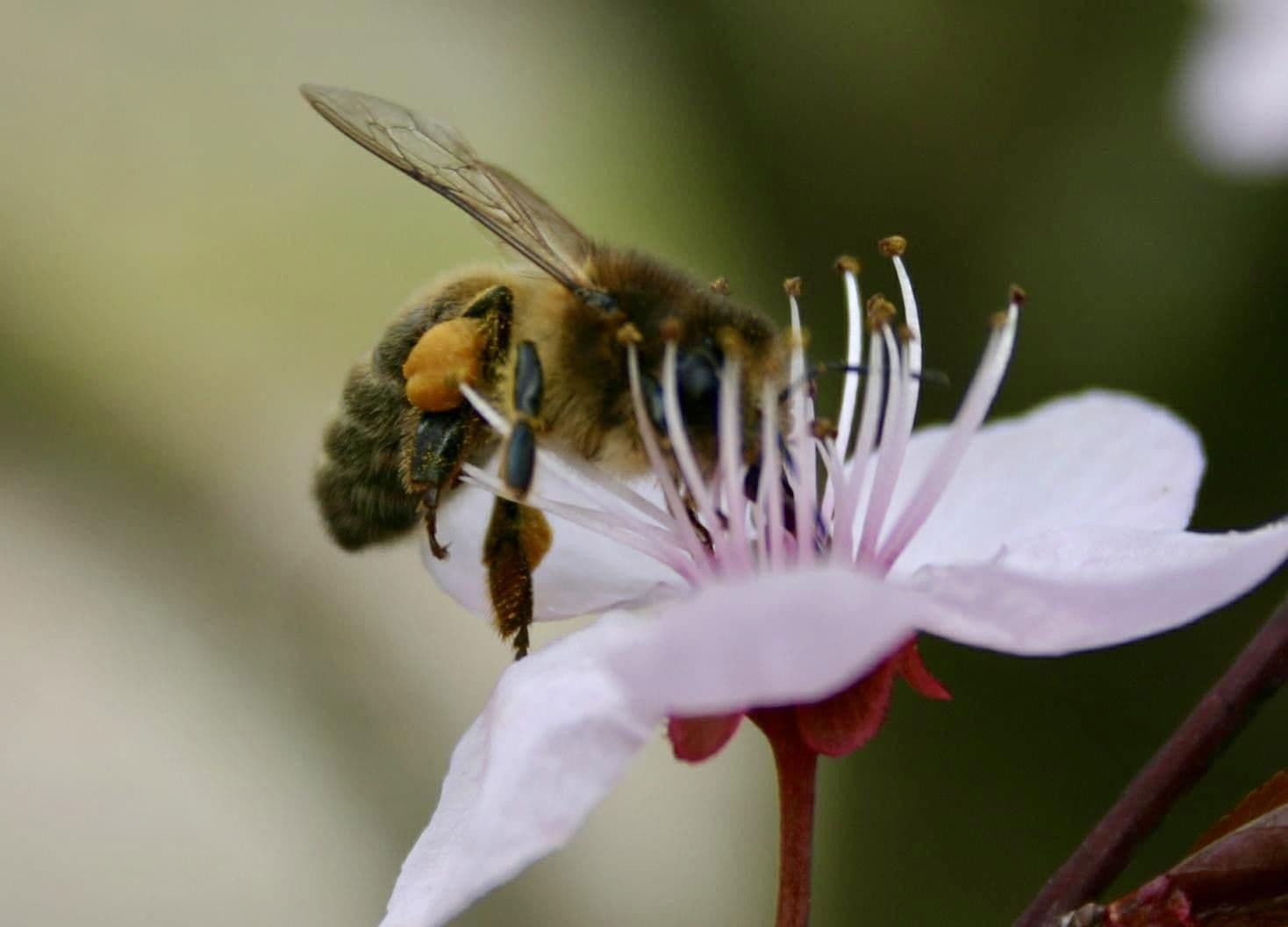 1 bedroom with open-plan kitchen flat for sale, 68 m², Reichenbachstraße 5, Bad Reichenhall, Bavaria 1 bedroom with open-plan kitchen flat for sale, 68 m², Reichenbachstraße 5, Bad Reichenhall, Bavaria