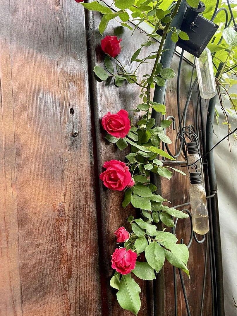 1 bedroom with open-plan kitchen flat for sale, 68 m², Reichenbachstraße 5, Bad Reichenhall, Bavaria 1 bedroom with open-plan kitchen flat for sale, 68 m², Reichenbachstraße 5, Bad Reichenhall, Bavaria